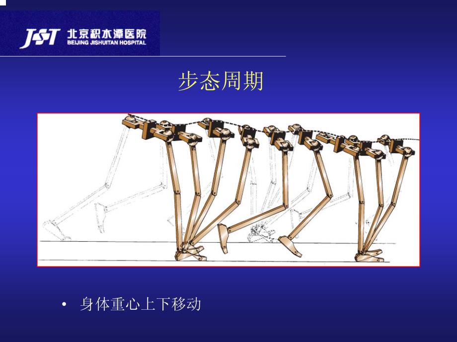 足踝功能解剖与手术入路积水潭医院课件_第4页