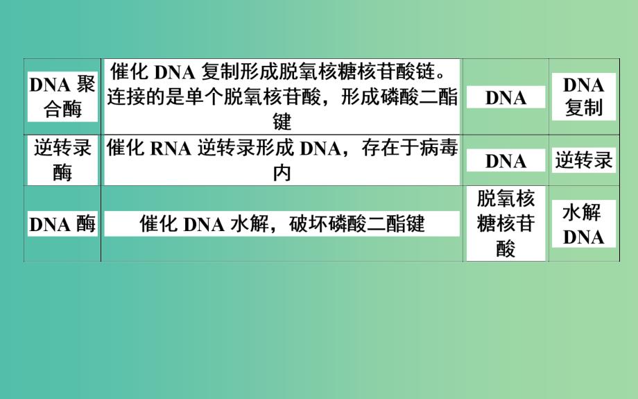 高中生物 第4章《基因的表达》章末总结课件 新人教版必修2_第4页