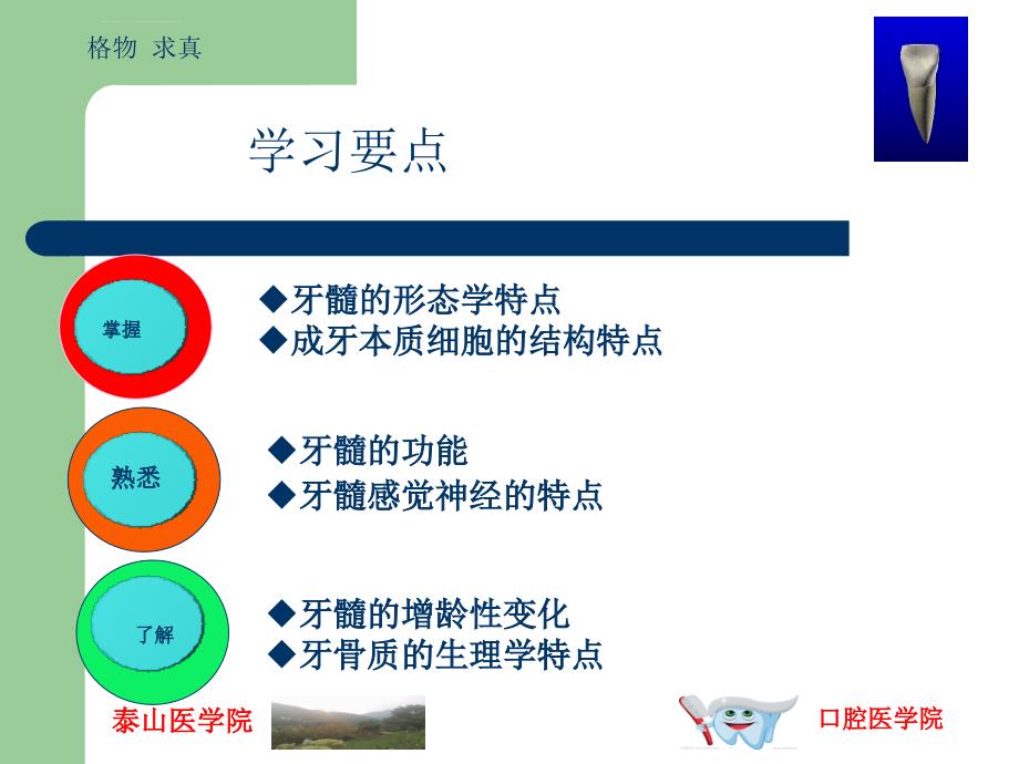 牙髓及根尖周的组织学特点.ppt_第2页