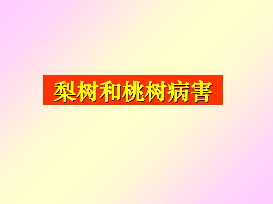 梨树和桃树病害.ppt_第1页