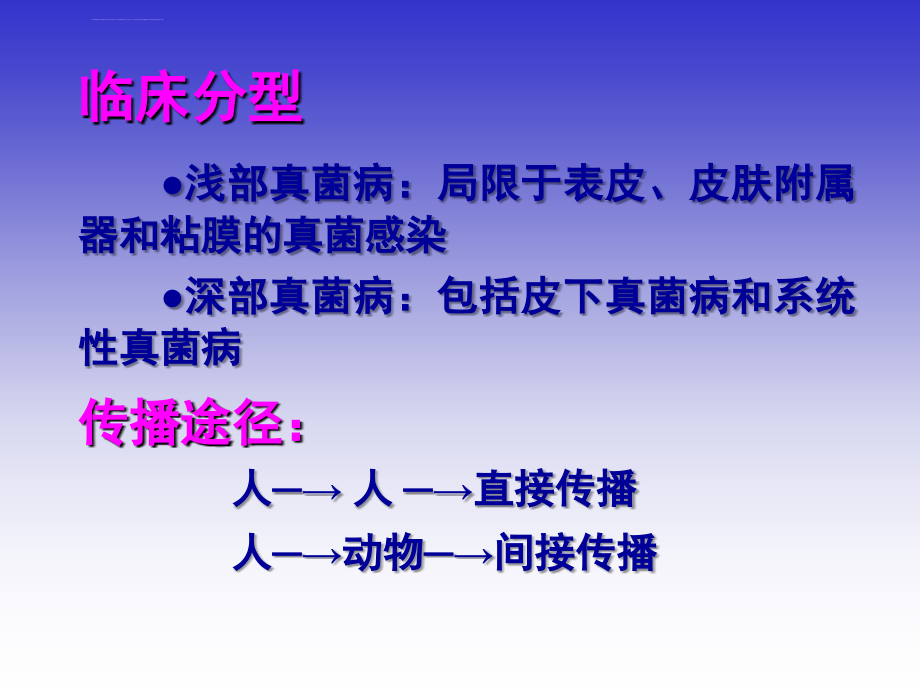 皮肤性病学真菌病.ppt_第2页