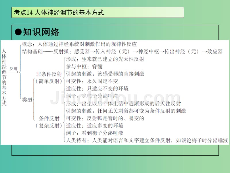 中考生物 第4单元 考点14、15课件 新人教版_第2页