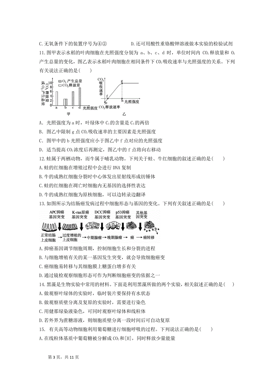 成都2019—2020 学年度高三生物上册10月月考试题卷（含答案）_第3页