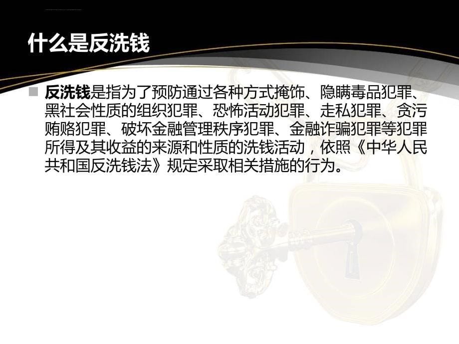 反洗钱培训.ppt_第5页