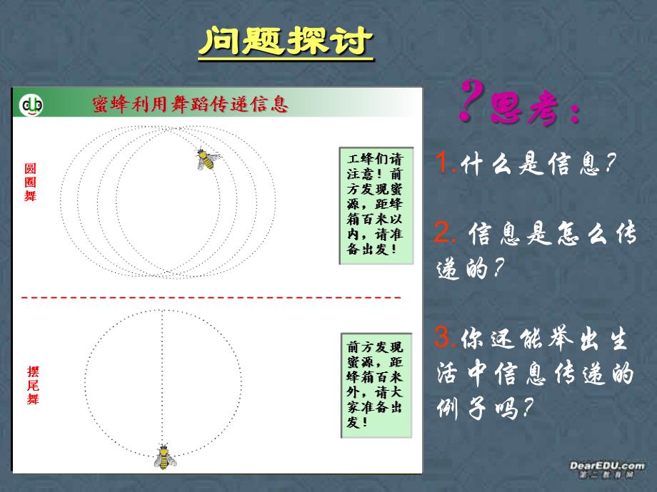 高二生物必修三-第五章-生态系统-第四节-生态系统的信息传递-新课标-人教版.ppt_第2页