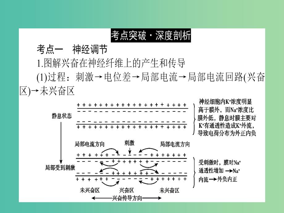 高考生物二轮专题复习 专题九 人和高等动物生命活动的调节课件_第2页