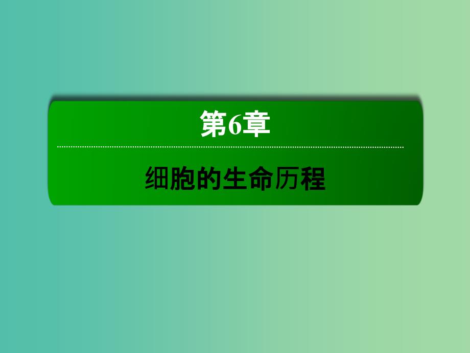 高中生物 6.3细胞的衰老和凋亡课件 新人教版必修1_第1页