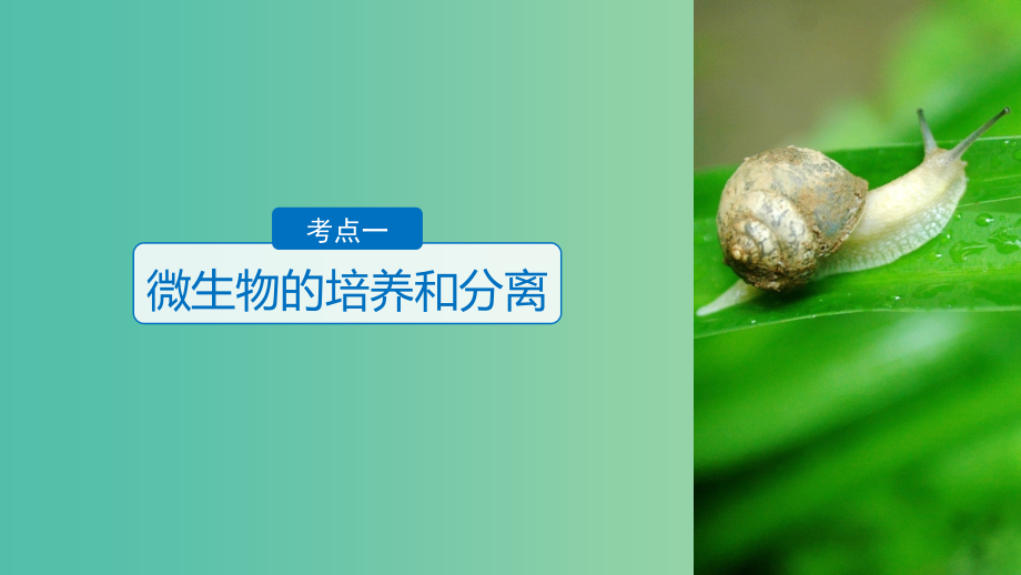 高考生物一轮总复习第九单元生物技术实践第30讲微生物的利用课件_第4页