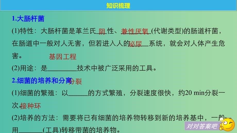 高考生物一轮总复习第九单元生物技术实践第30讲微生物的利用课件_第5页