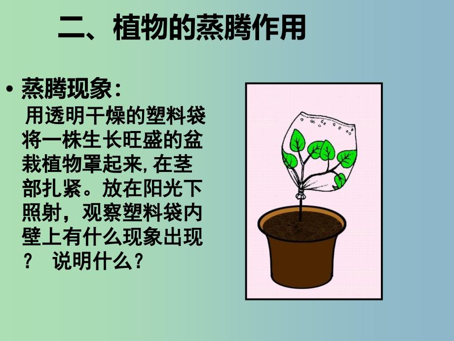 七年级生物上册 3.3.3 绿色植物与生物圈的水循环课件 新人教版_第4页