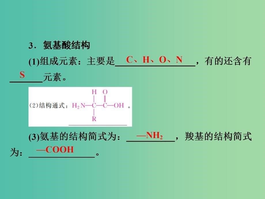 高考生物一轮复习第3讲生命活动的主要承担者-蛋白质课件_第5页