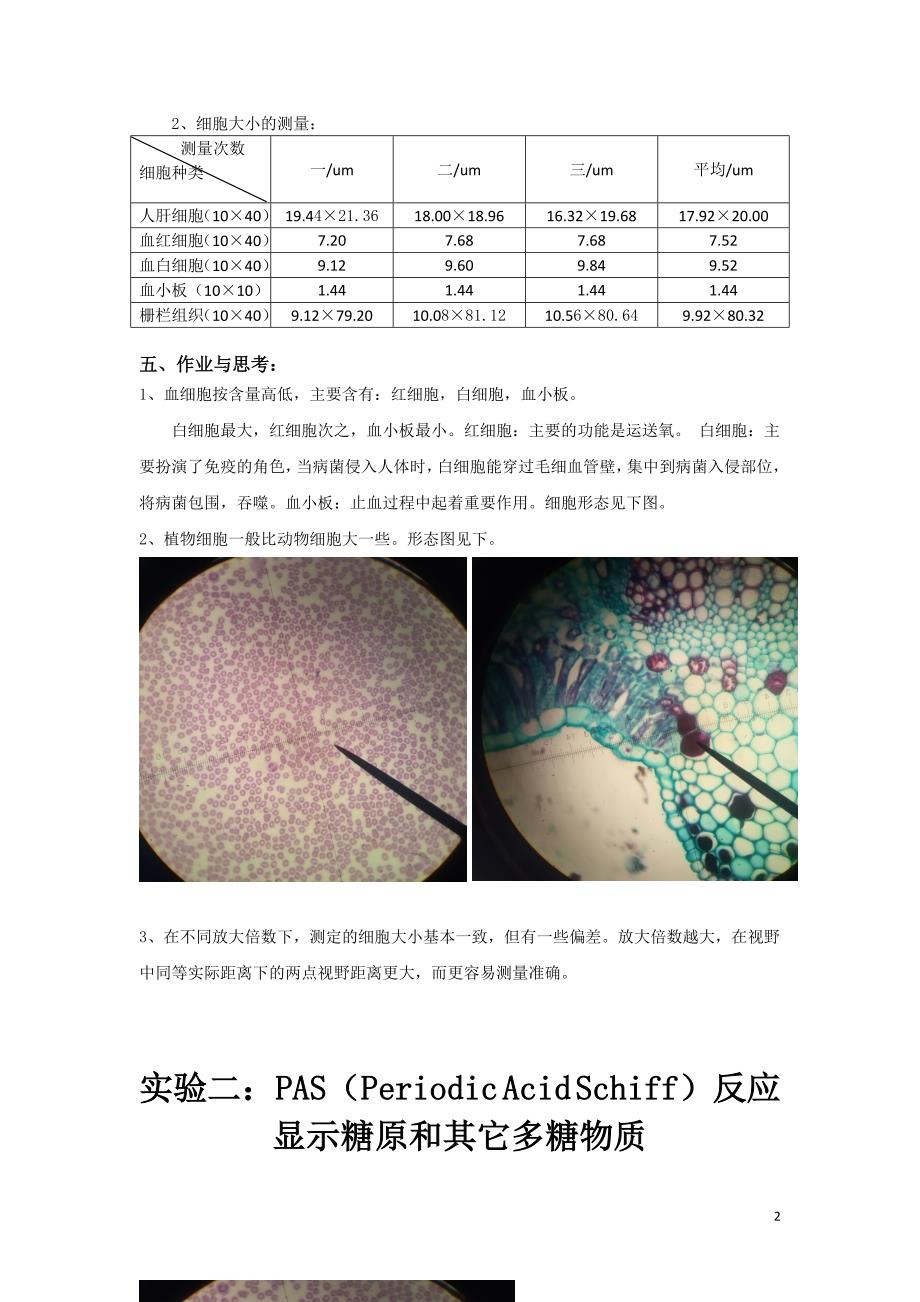 细胞生物学实验报告资料_第2页