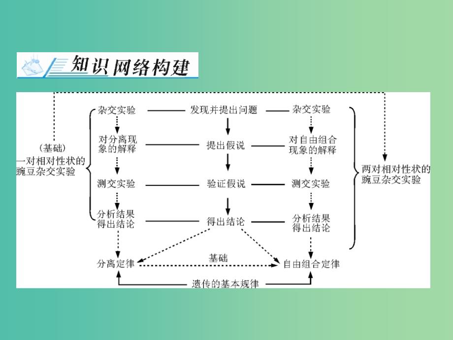 高考生物一轮总复习 第1章 遗传因子的发现章末知识提升课件_第2页