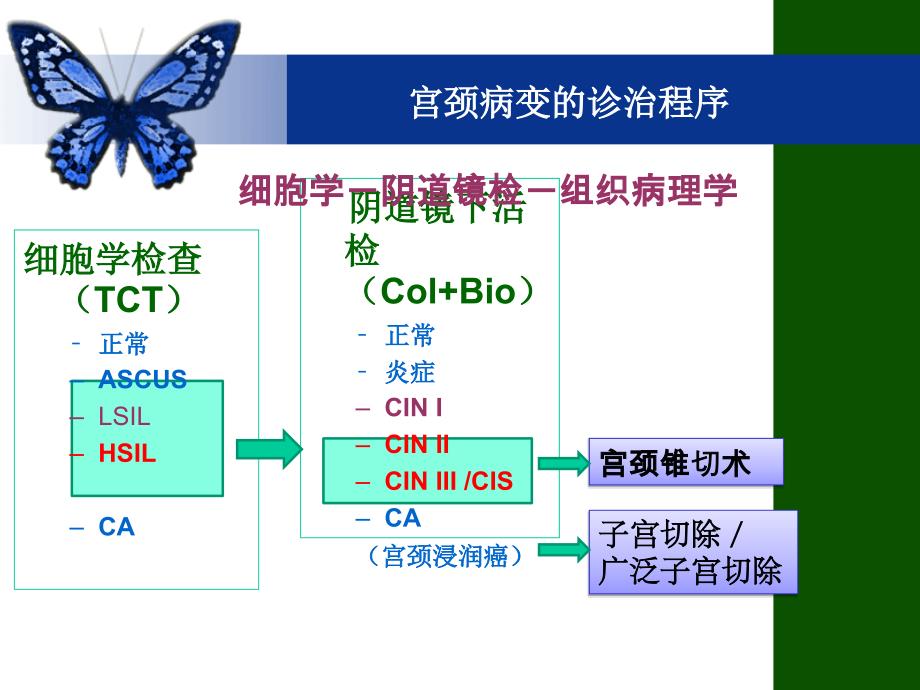 宫颈病变围手术期护理.ppt_第2页