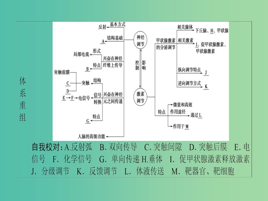 高考生物二轮复习 第1部分 专题5 第1讲 动物和人体生命活动的调节课件_第3页