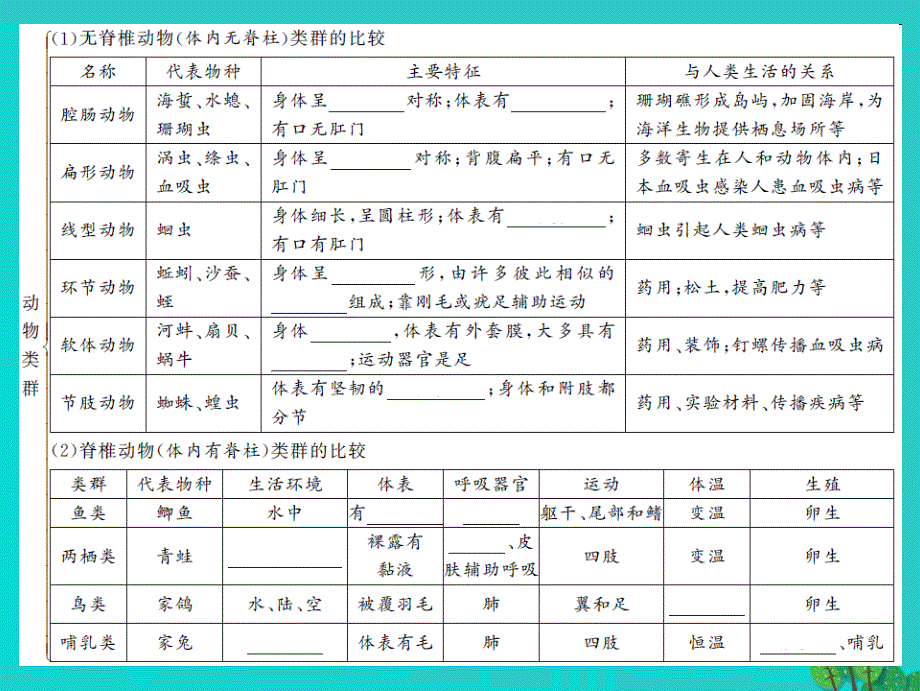 2017中考生物第一轮系统复习篇 第五单元 第一章 动物的主要类群课件_第3页