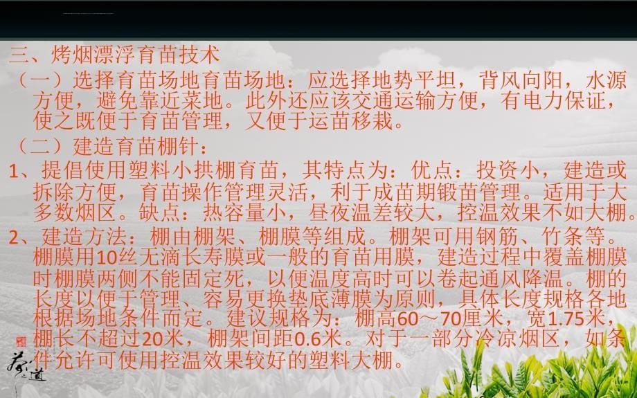 烤烟大田栽培.ppt_第5页