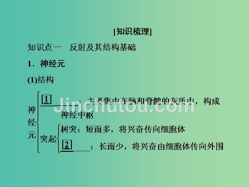 高考生物一轮复习 第八单元 生命活动的调节 第26讲 人和高等动物的神经调节课件_第5页