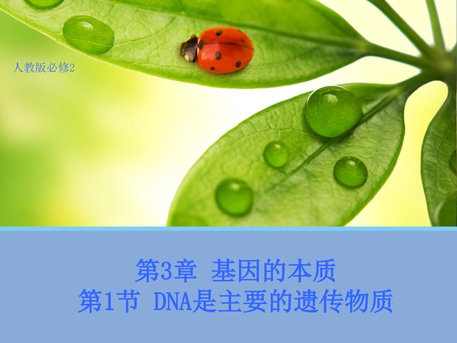 高中生物【生物】3.1--dna是主要的遗传物质-课件1(人教版必修2).ppt_第1页