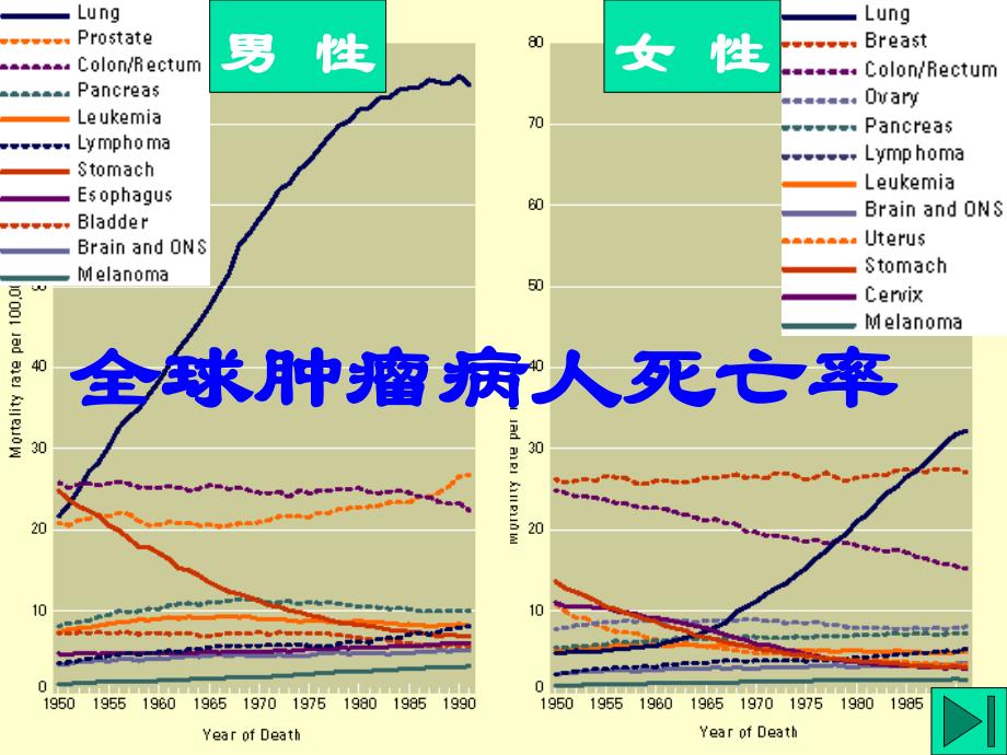 肿瘤病理学与病生理学_第3页