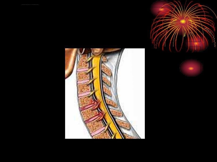 项痹、腰痛-2.ppt_第5页