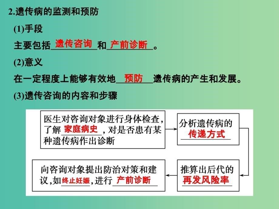 高考生物一轮复习 第7单元 生物的变异、育种与进化 第22讲 人类遗传病及遗传系谱分析与应用课件 新人教版_第5页