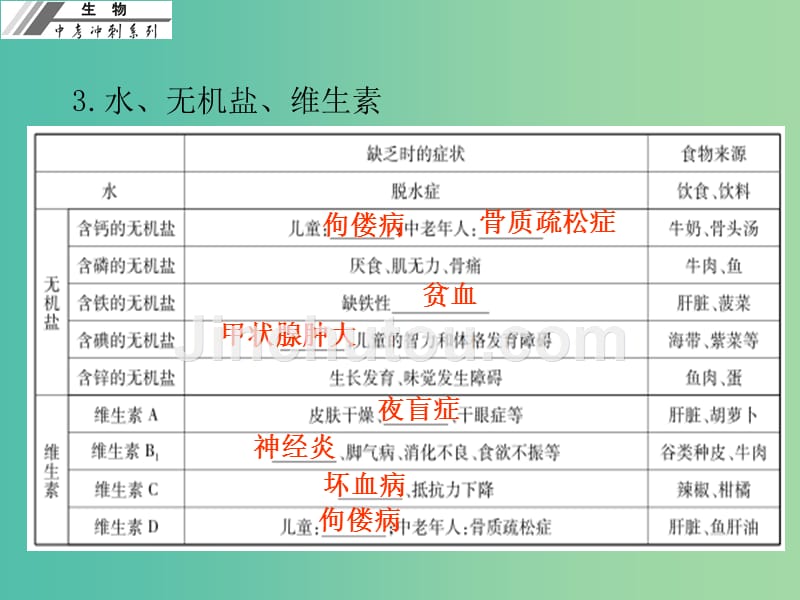 中考生物冲刺复习 基础梳理 第11章 人体的营养课件 新人教版_第5页