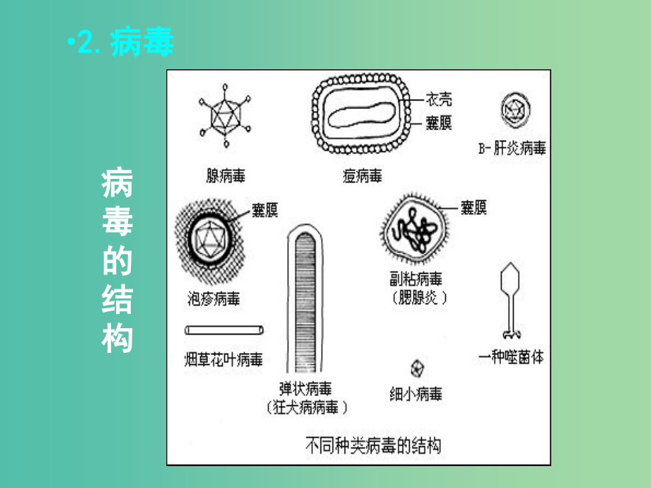 高中生物 专题二 课题1 微生物的实验室培养课件 新人教版选修1_第4页