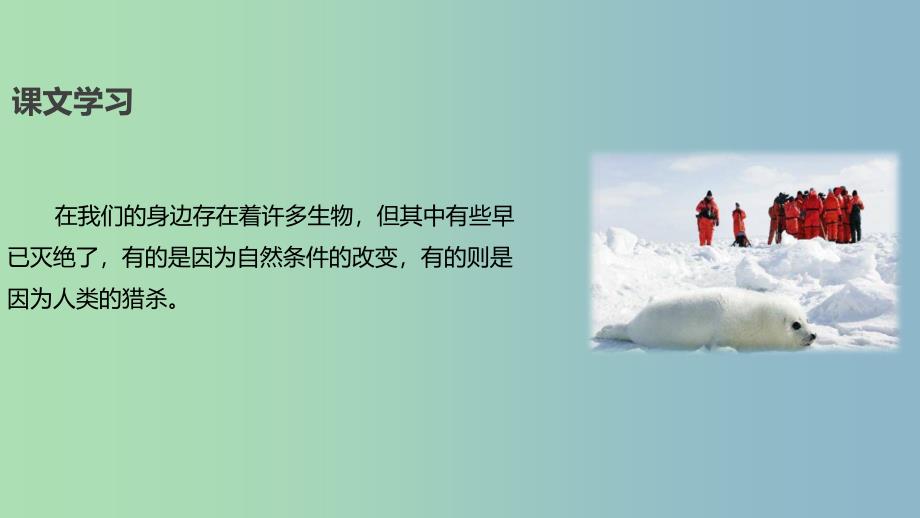 八年级语文上册第七单元22人类制造物种灭绝危机自读课件长春版_第3页