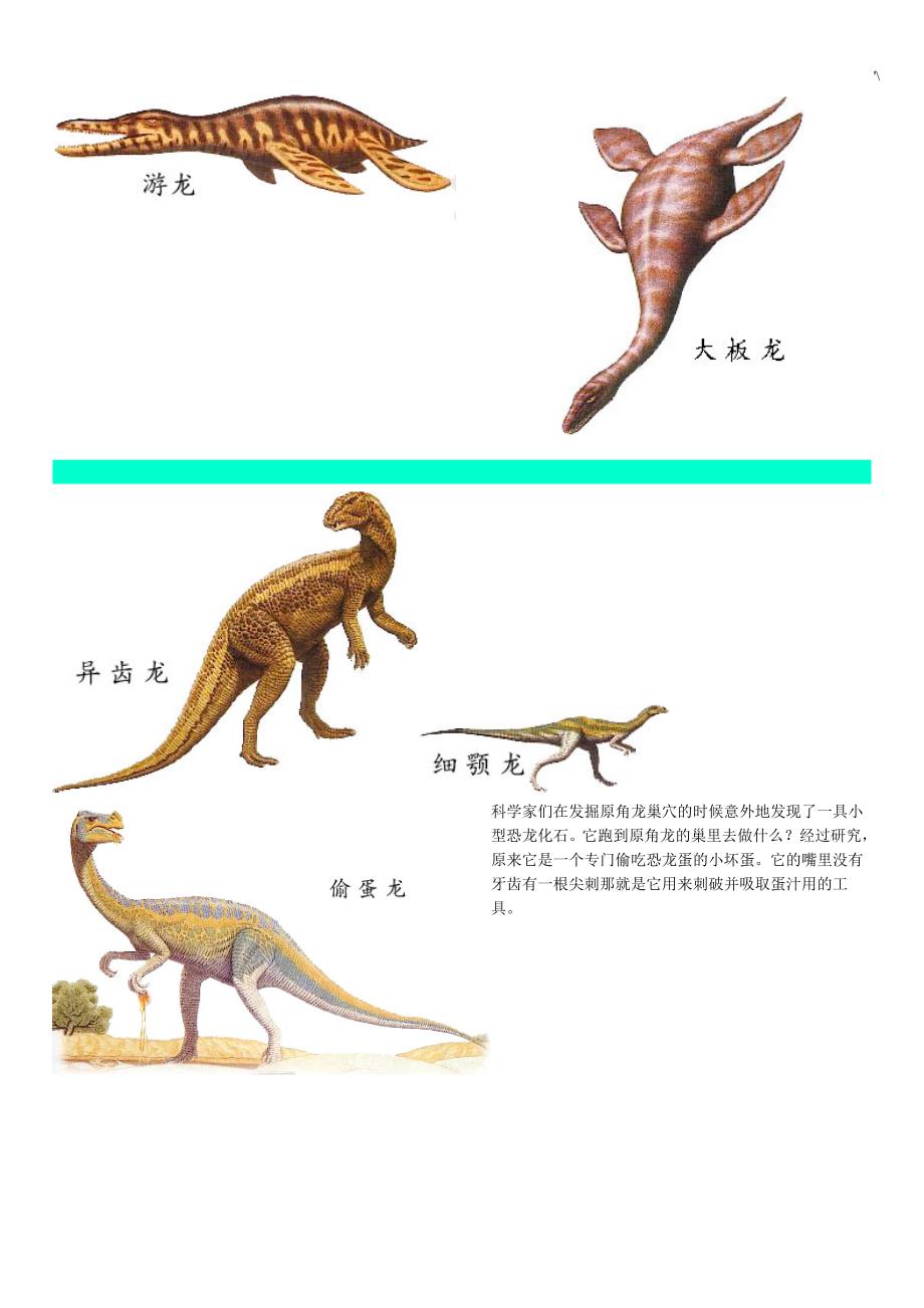 恐龙世界(图片及其资料)_第4页
