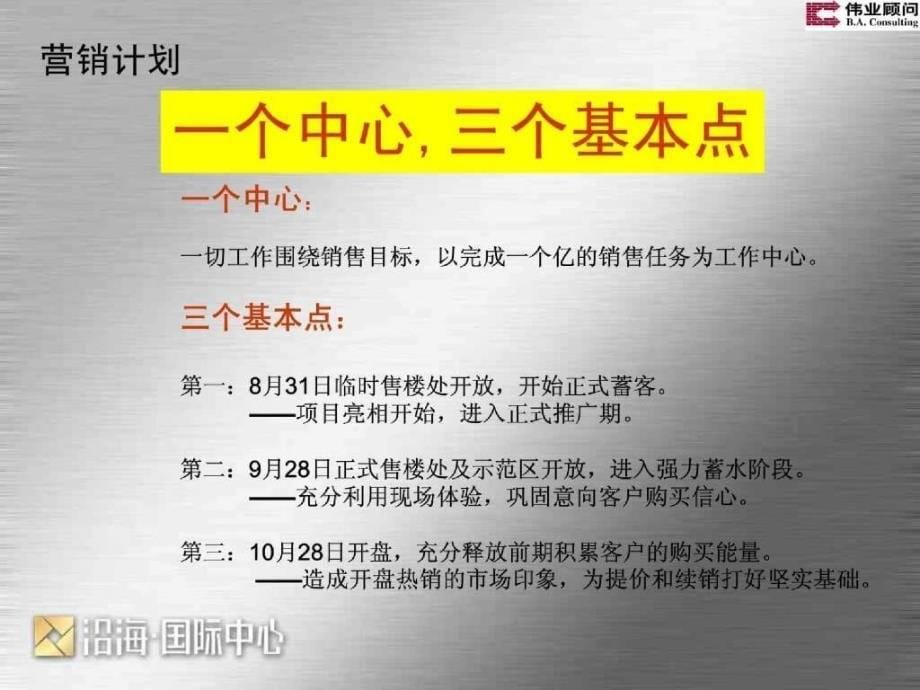 伟业顾问2007年沿海国际中心开盘前营销推广计划最终稿_第5页