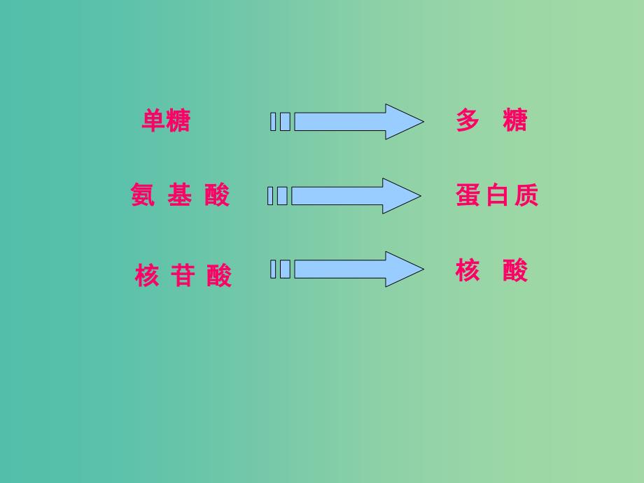 高中生物 第二章 组成细胞的分子复习课件 新人教版必修1_第2页