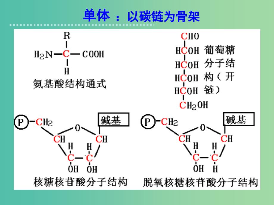 高中生物 第二章 组成细胞的分子复习课件 新人教版必修1_第4页