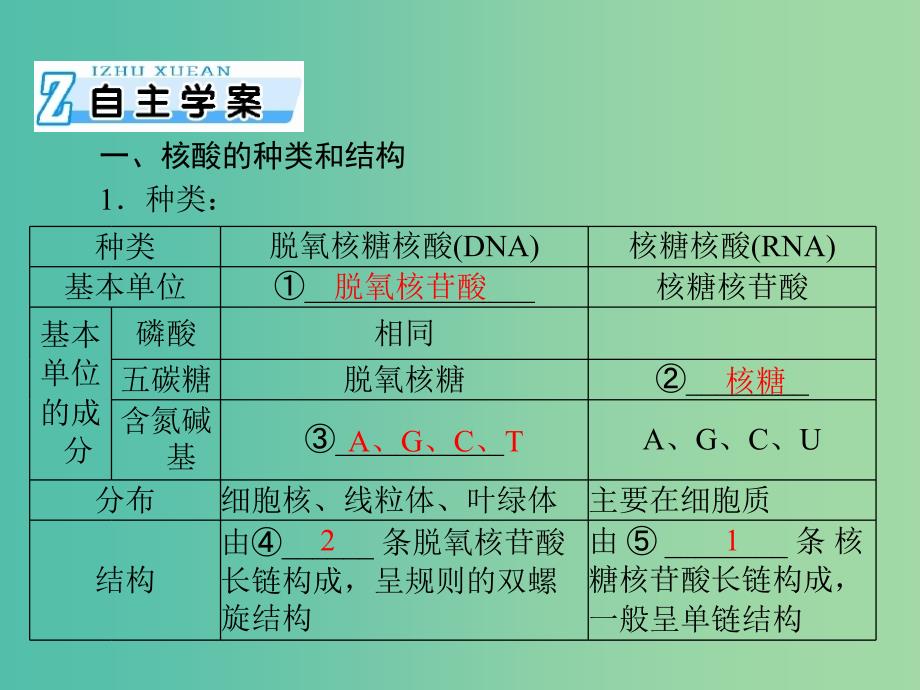 高考生物一轮总复习 第2章 第3-4节 遗传信息的携带者 核酸、细胞中的糖类和脂类课件（必修1）_第2页