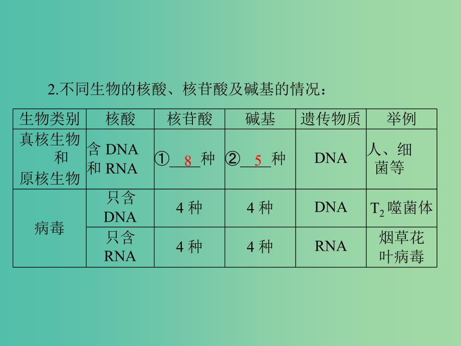 高考生物一轮总复习 第2章 第3-4节 遗传信息的携带者 核酸、细胞中的糖类和脂类课件（必修1）_第4页