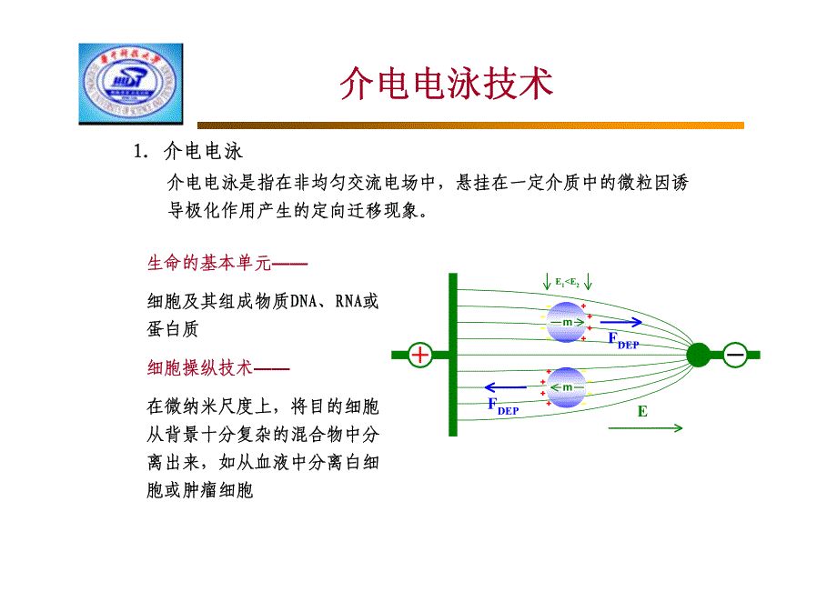 介电电泳芯片资料_第4页