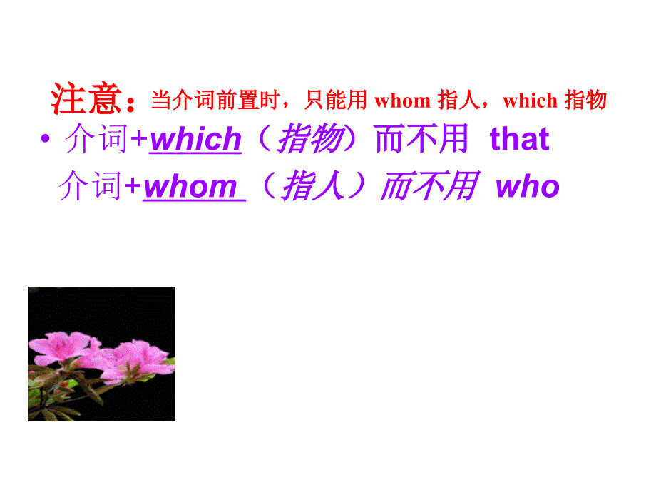 定语从句介词+which-介词+whom资料_第3页