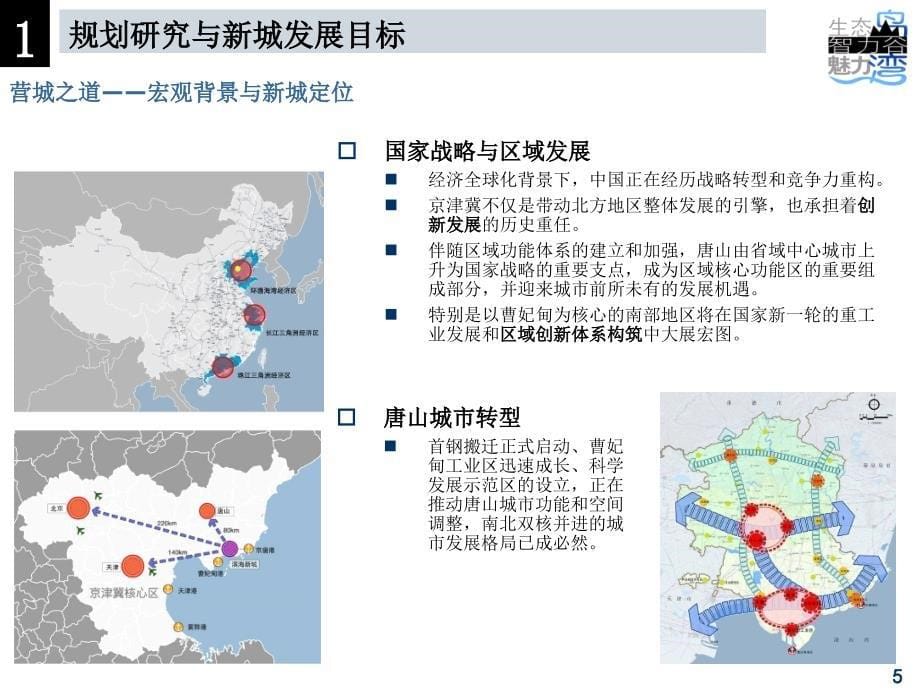 中规院曹妃甸滨海新城城市设计资料_第5页