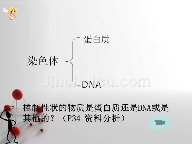 染色体dna和基因_第4页