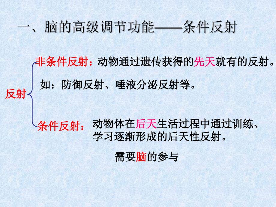 条件反射和自主神经对内脏活动的调节_第3页