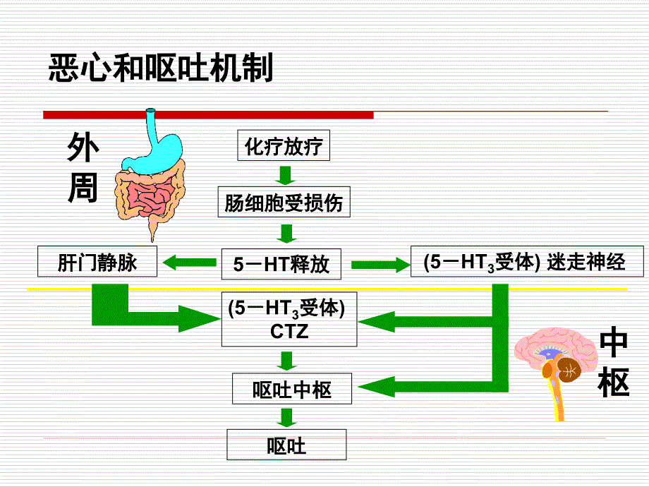 nccn化疗止吐指南12_第2页