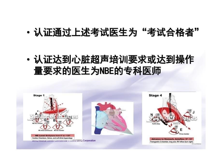 如何考取美国超声心动图学会的tee认证资料_第5页