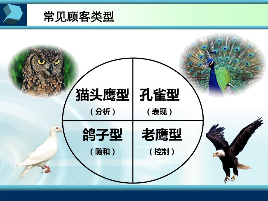 四大顾客类型分析41844资料_第4页