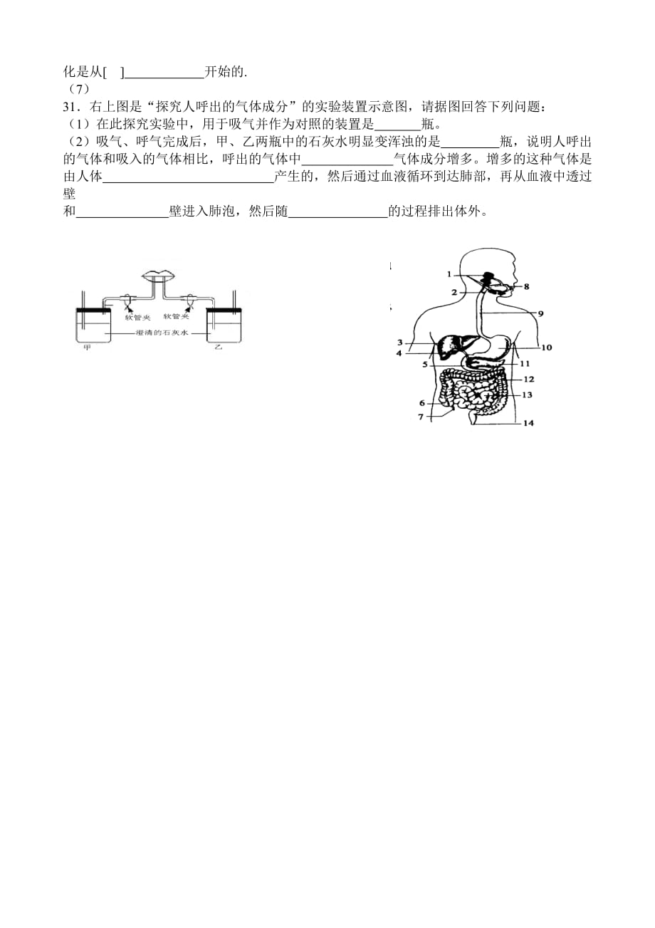 七年级生物下册1-2章测试题及答案.doc_第4页