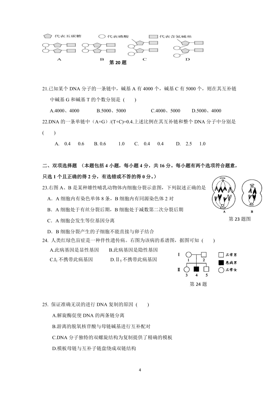 【生物】广东省东莞实验中学2014-2015学年高一下学期期中考试.doc_第4页