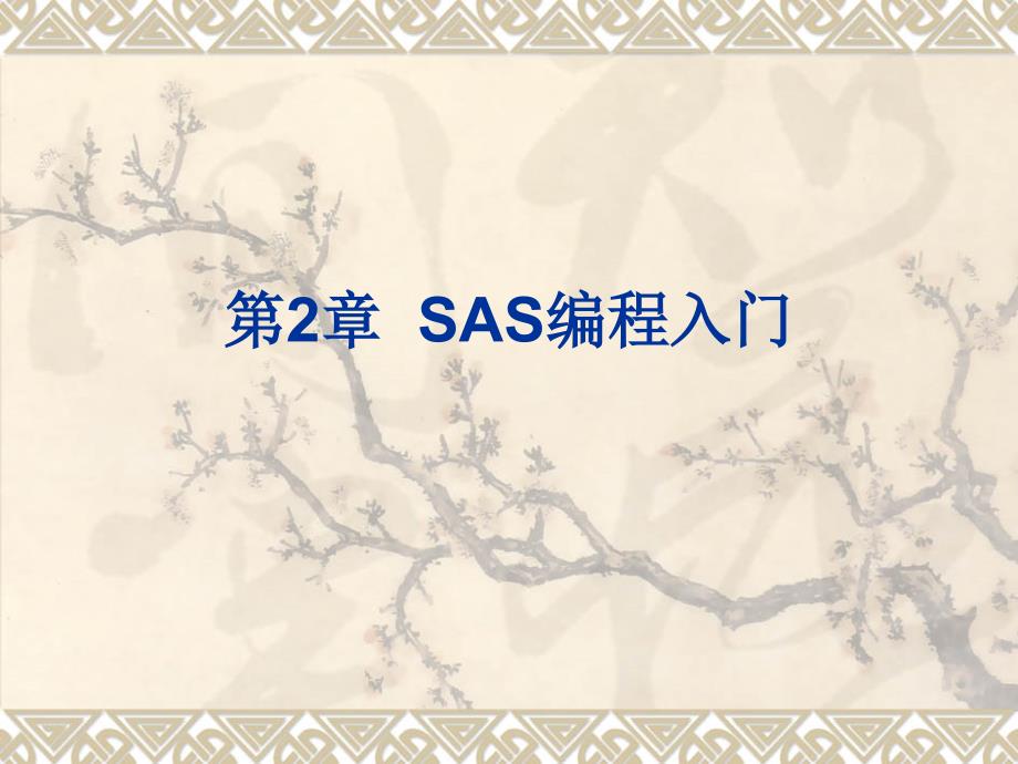 《sas编程入门》课件_第1页