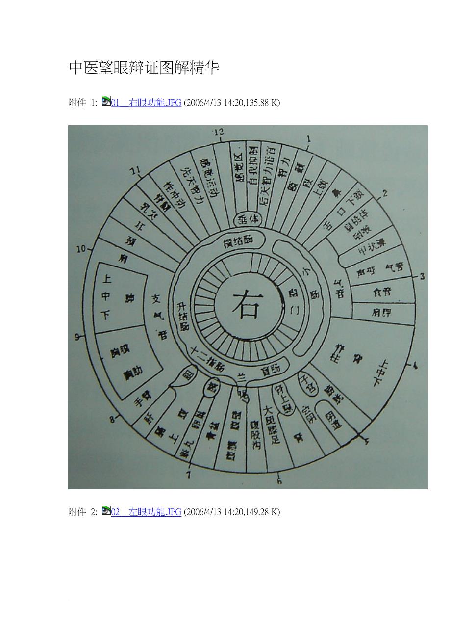 中医望眼辩证图解精华.doc_第1页