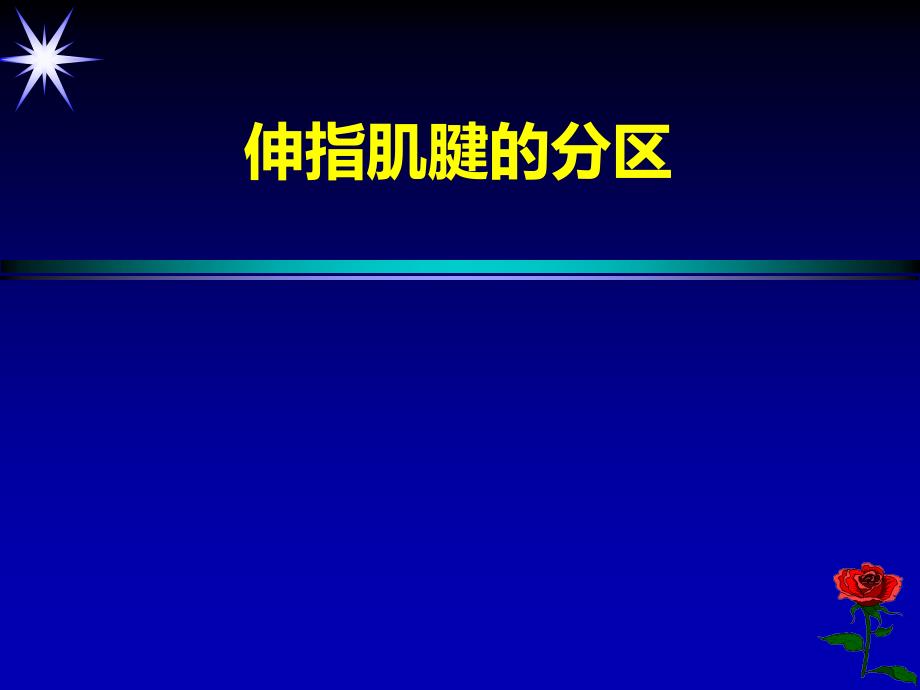 伸指肌腱的分区资料_第1页