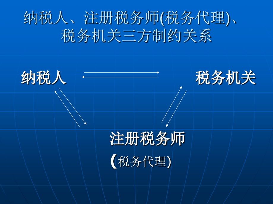 税务代理审查篇课件_第2页