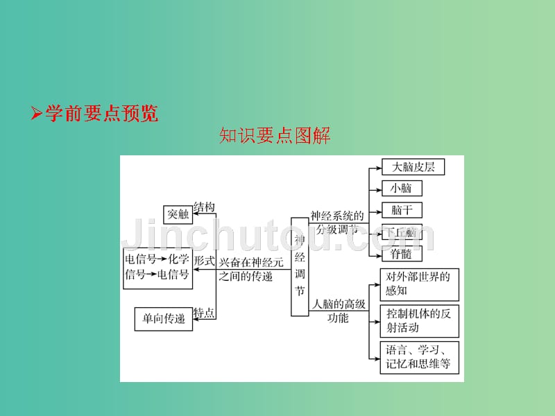 高中生物第二章动物和人体生命活动的调节第1节通过神经系统的调节第2课时课件新人教版_第2页